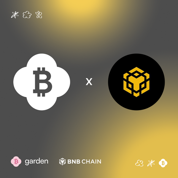Bridge Bitcoin to BNB Chain in Seconds